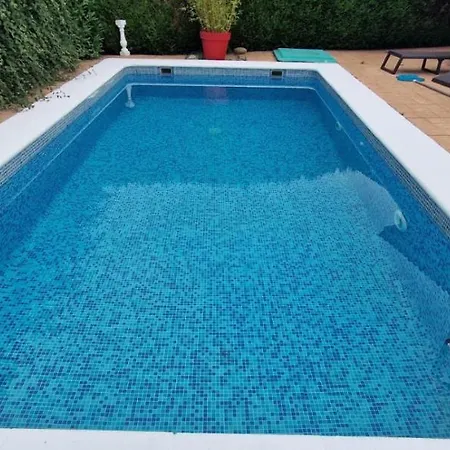 Amy House. Cebolino